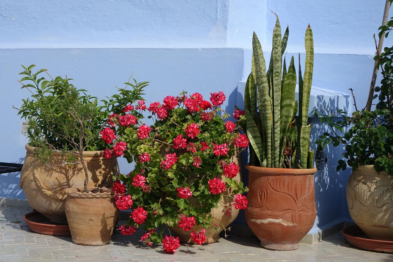 Dar Candal Asilah Exterior photo